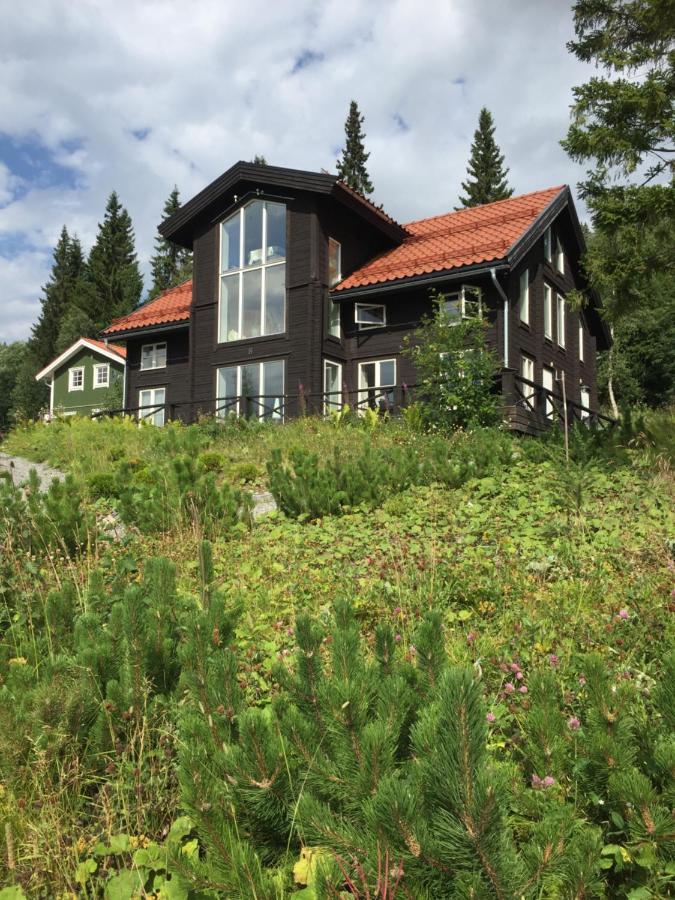 Villa Edvinsvaeg 8 Are Exterior photo